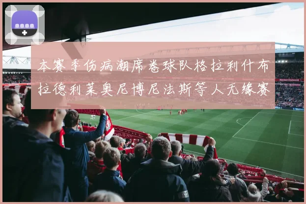 本赛季伤病潮席卷球队格拉利什布拉德利莱奥尼博尼法斯等人无缘赛季余下比赛