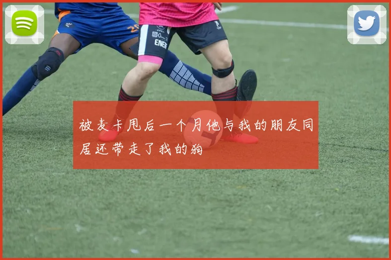 被麦卡甩后一个月他与我的朋友同居还带走了我的狗
