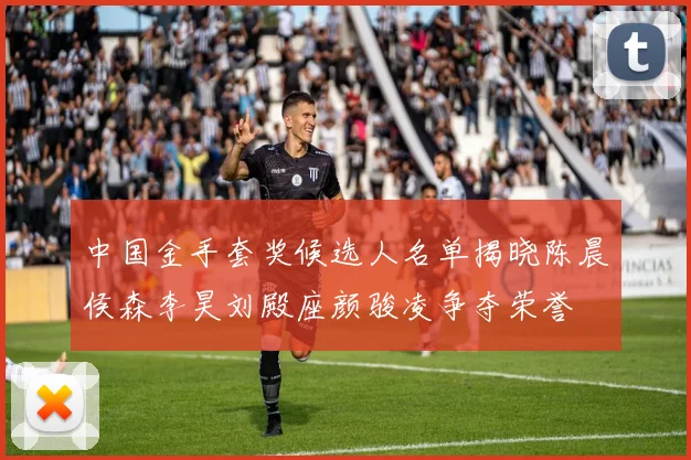 中国金手套奖候选人名单揭晓陈晨侯森李昊刘殿座颜骏凌争夺荣誉